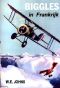 [Biggles 95] • Biggles in Frankrijk